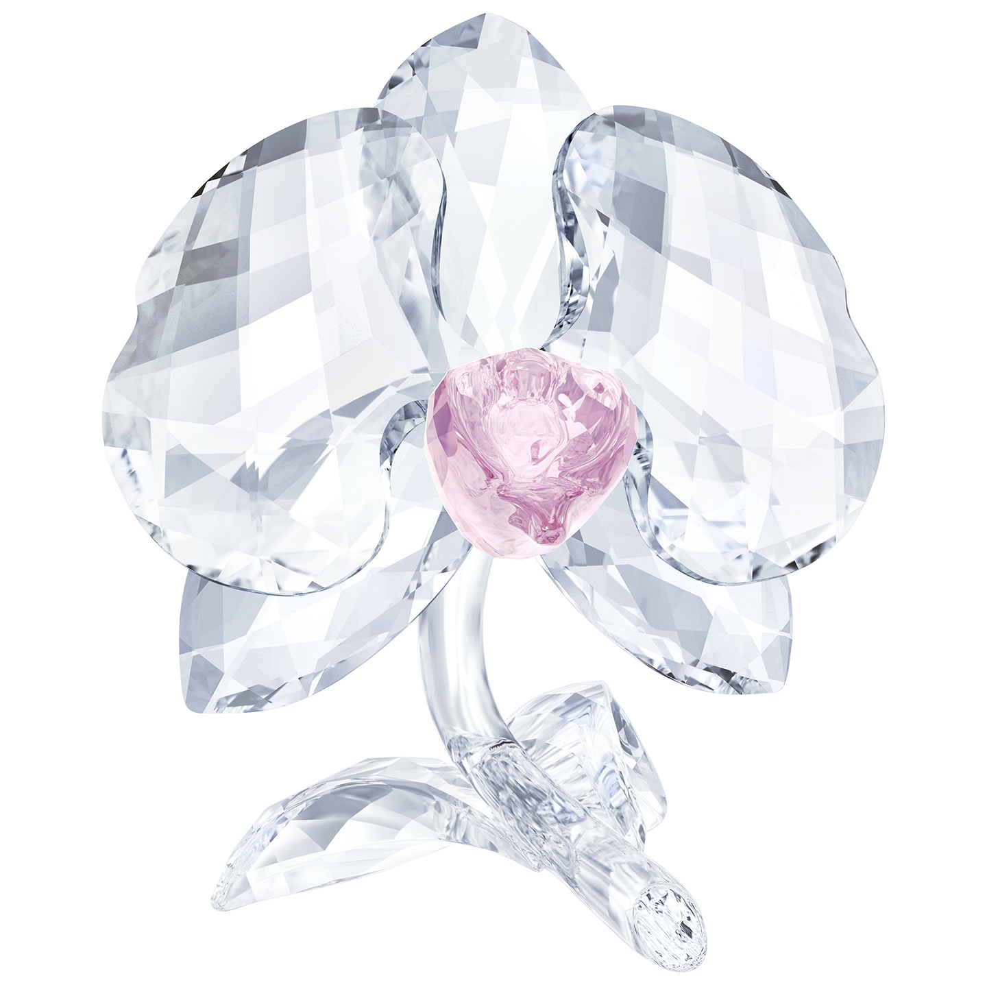 Figurka SWAROVSKI • Orchid 5301562 1