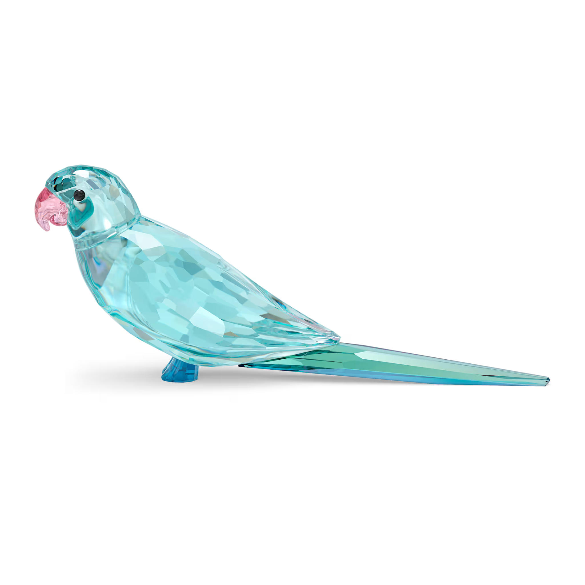 Figurka SWAROVSKI • Papuga 5574519 1